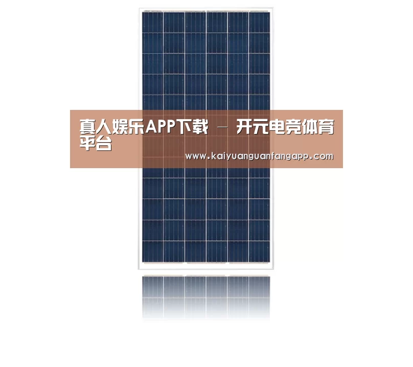 产品名称一