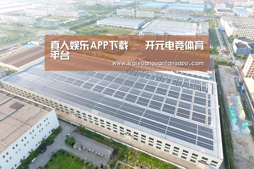 案例展示二