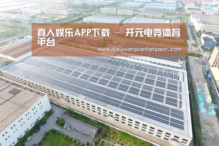 案例展示三