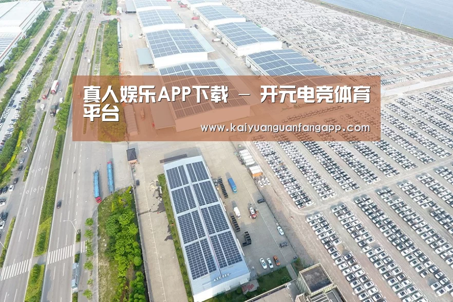 案例展示三