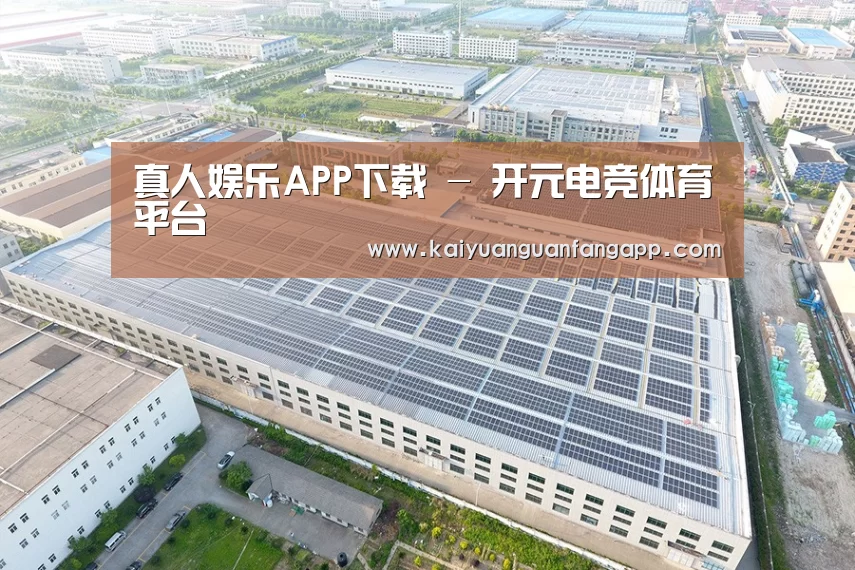 案例展示四